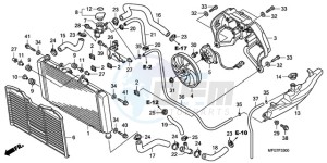 CB600F39 Spain - (SP / ST) drawing RADIATOR