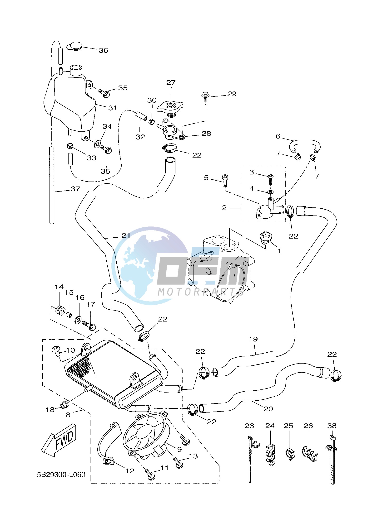 RADIATOR & HOSE