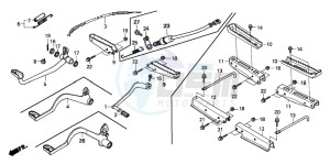 TRX250TM FOURTRAX RECON drawing PEDAL/STEP