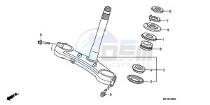 CBR600RRA Europe Direct - (ED / 2ED) drawing STEERING STEM