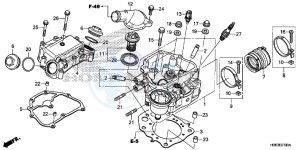 TRX500FA6H Europe Direct - (ED) drawing CYLINDER HEAD