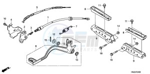 TRX500FPAC drawing PEDAL/ STEP