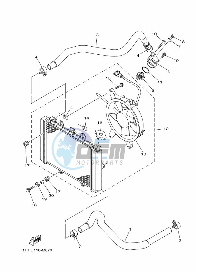 RADIATOR & HOSE