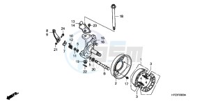 TRX90XD TRX90 Europe Direct - (ED) drawing KNUCKLE/ FRONT BRAKE PANEL