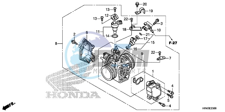 THROTTLE BODY