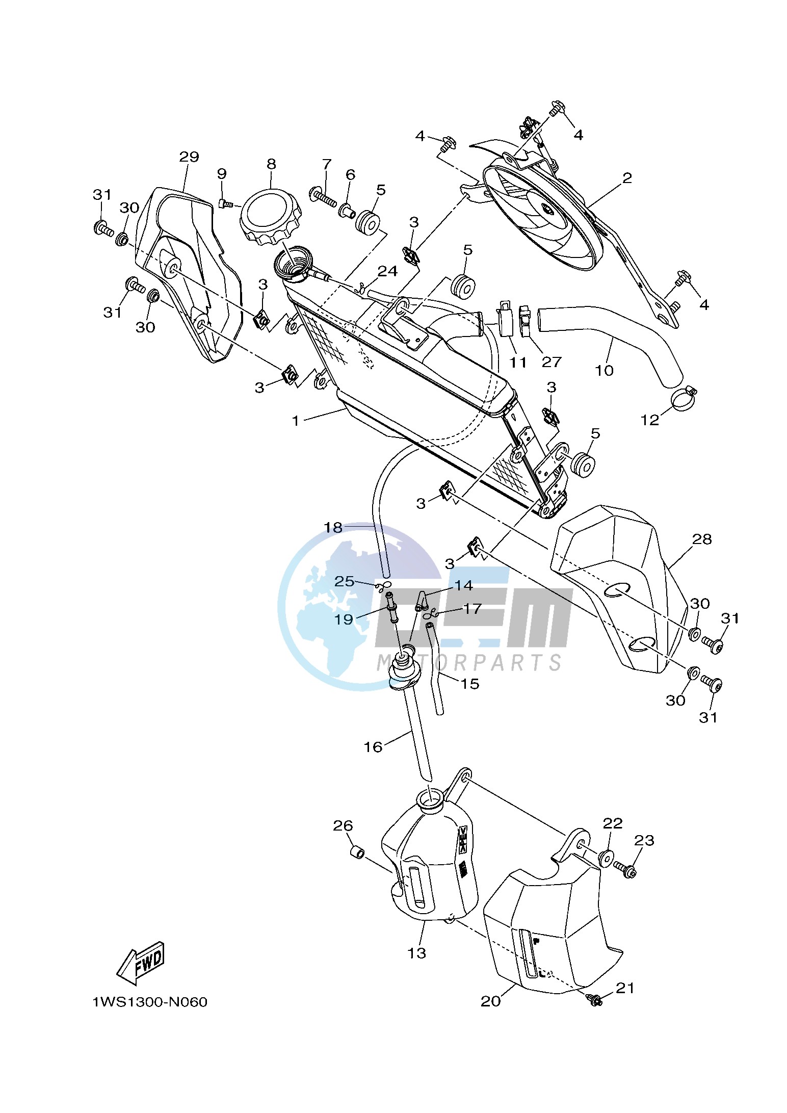 RADIATOR & HOSE