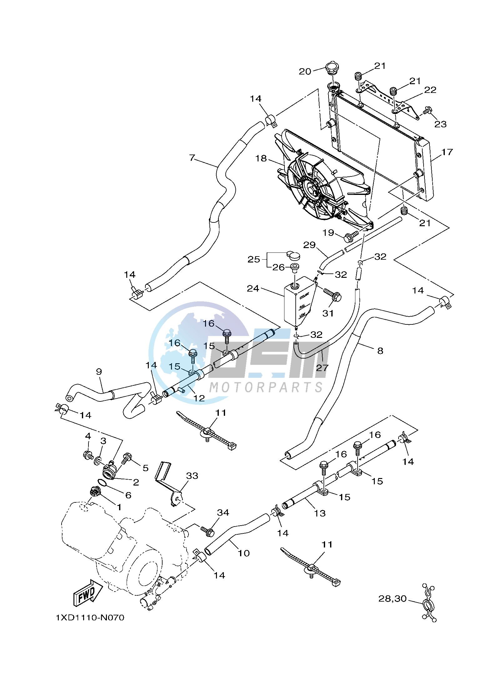 RADIATOR & HOSE