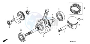 TRX500FPMB drawing CRANKSHAFT/ PI STON