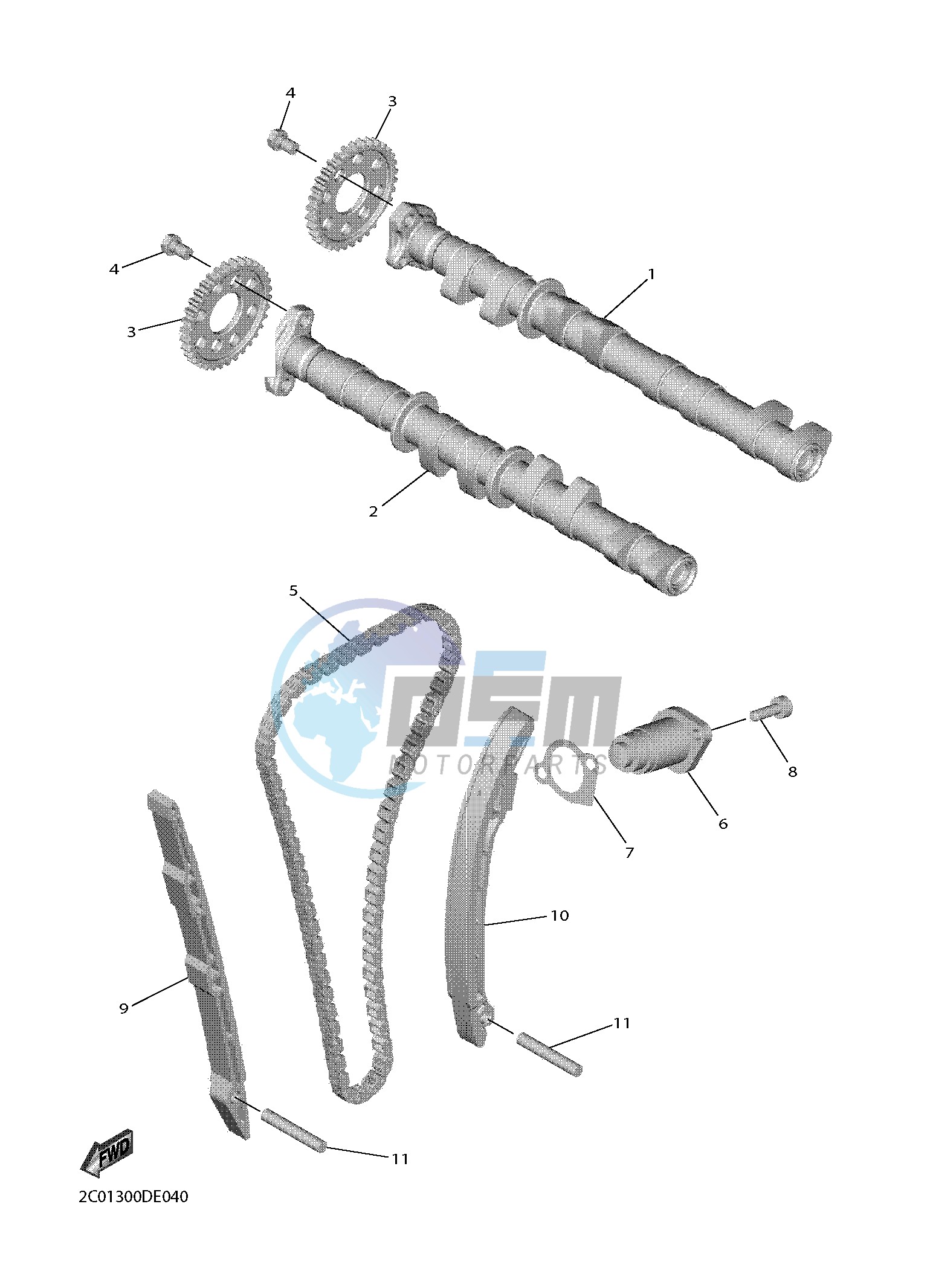 CAMSHAFT & CHAIN