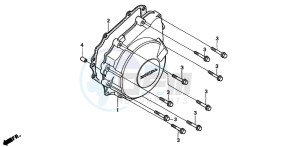 CB600F CB600F drawing GENERATOR COVER