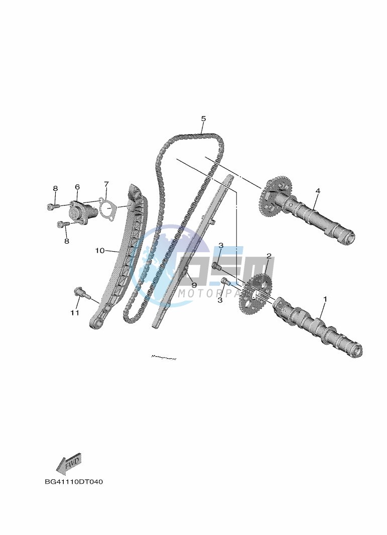 CAMSHAFT & CHAIN