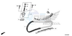 SH300AG TRX250T Europe Direct - (ED) drawing CAM CHAIN