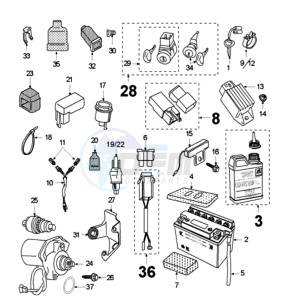 FOX LN BN drawing ELECTRIC PART WITH PICKUP