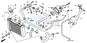 CBR125RWA Europe Direct - (ED / BLA) drawing RADIATOR (CBR125RW7/RW9/RWA)