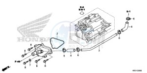 TRX420FE1H Europe Direct - (ED) drawing WATER PUMP COVER