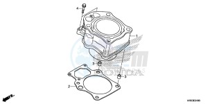 TRX500FM5G TRX500FM Australia - (U) drawing CYLINDER