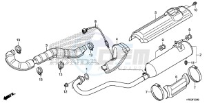 TRX420FM1E TRX420 Europe Direct - (ED) drawing EXHAUST MUFFLER