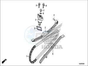 WW125EX2H WW125 E drawing CAM CHAIN/TENSIONER