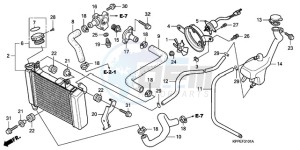 CBR125RWA Germany - (G / BLA) drawing RADIATOR (CBR125RW7/RW9/RWA)