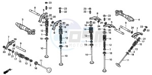 XL600V TRANSALP drawing CAMSHAFT/VALVE