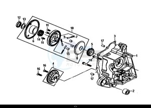 ORBIT II 50 (25 KM/H) (AE05W8-NL) (L8-M0) drawing R CRANK CASE-OIL PUMP ASSY