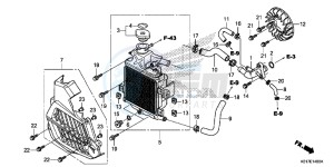 SH125D SH125i UK - (E) drawing RADIATOR