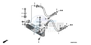 TRX250XB drawing OIL COOLER