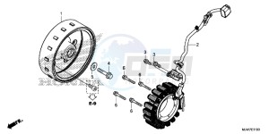 CB500F Europe Direct - (ED) drawing GENERATOR