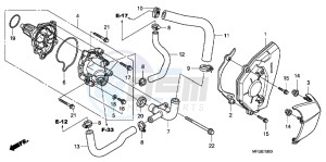 CB600FC drawing WATER PUMP