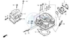 TRX350TE FOURTRAX ES drawing CYLINDER HEAD