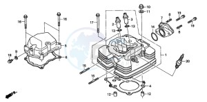 TRX250 RECON drawing CYLINDER HEAD