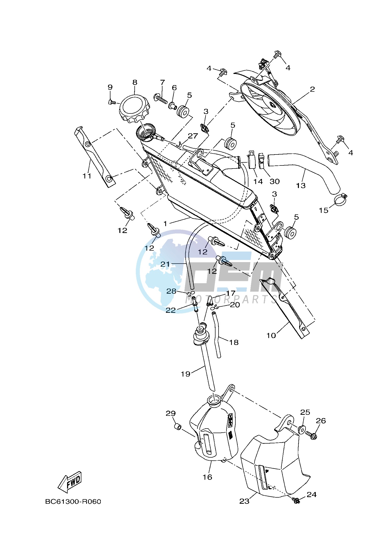 RADIATOR & HOSE