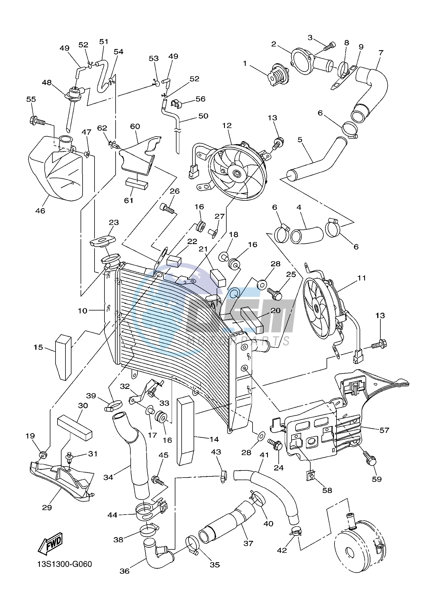 RADIATOR & HOSE