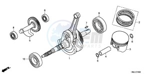 TRX500FPAD TRX500FPA ED drawing CRANKSHAFT/ PI STON