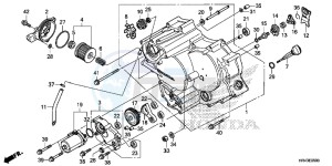 TRX500FM1F TRX500FM Europe Direct - (ED) drawing FRONT CRANKCASE COVER