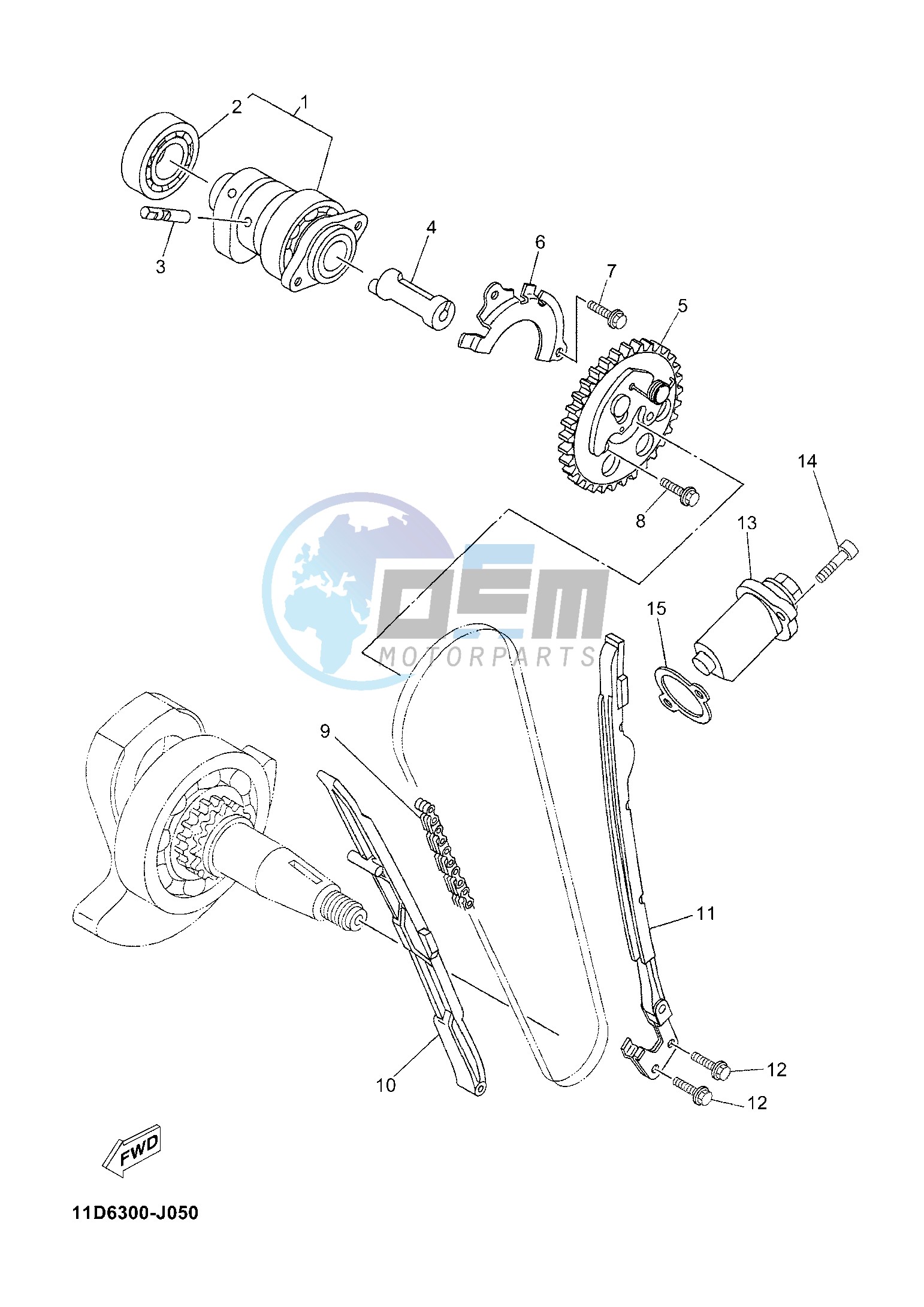 CAMSHAFT & CHAIN