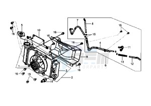 HD EU2 - 125 cc drawing COOLING SYSTEM