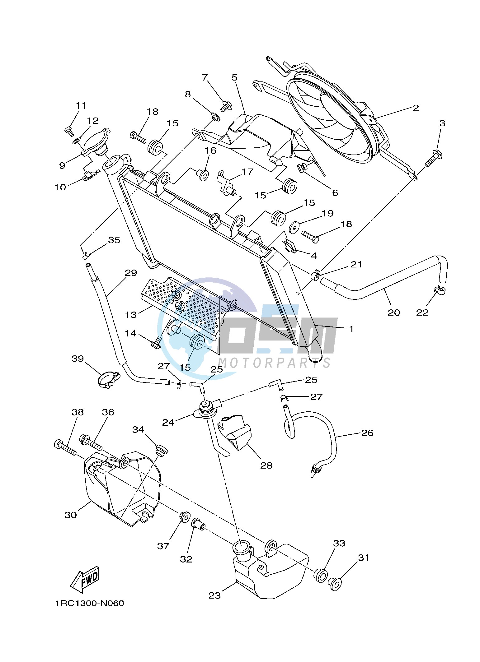 RADIATOR & HOSE