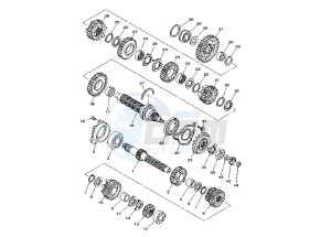 TDM ABS 900 drawing TRANSMISSION