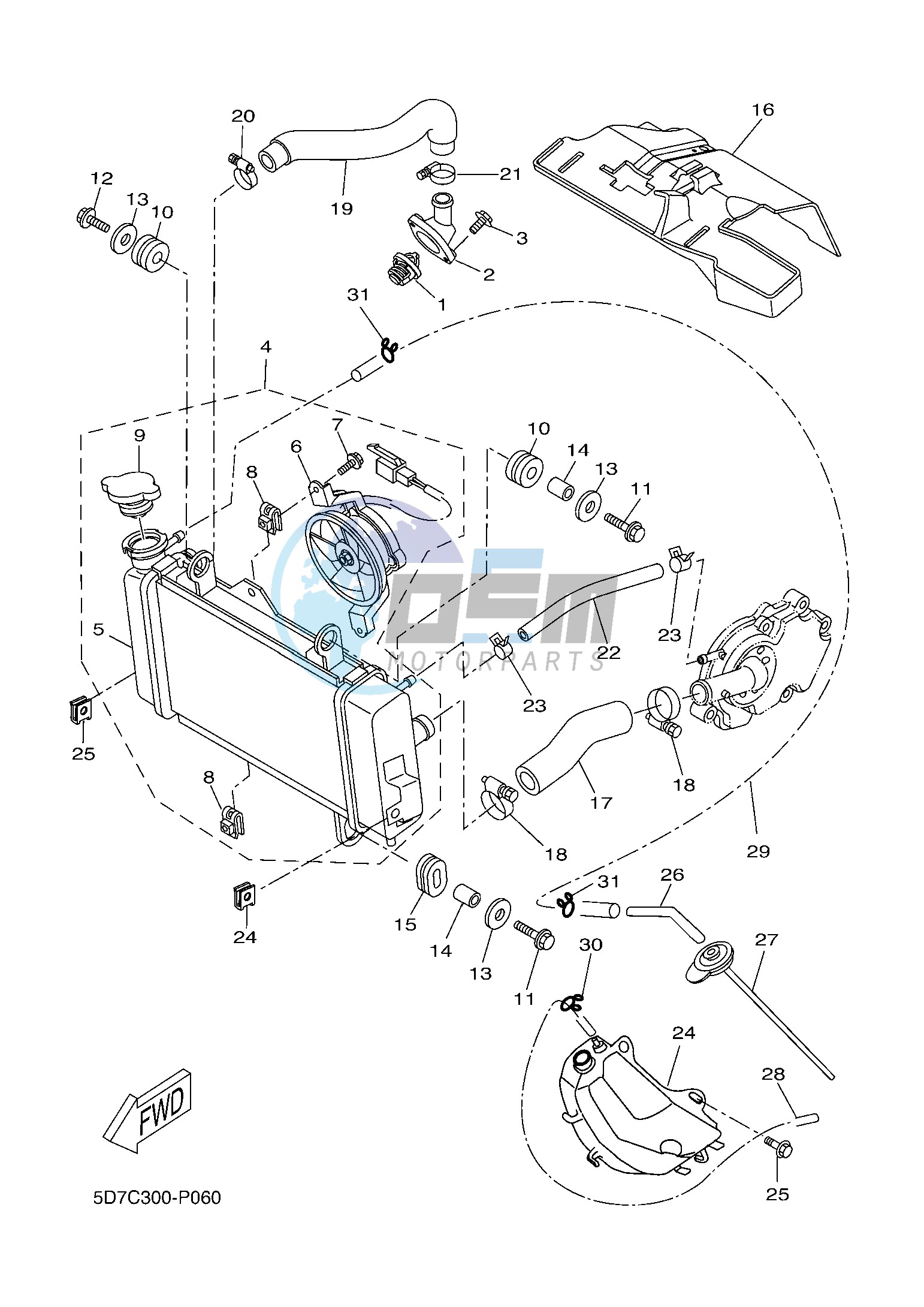 RADIATOR & HOSE