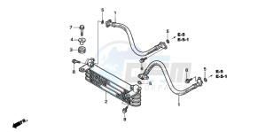 TRX250EX SPORTRAX 250 EX drawing OIL COOLER