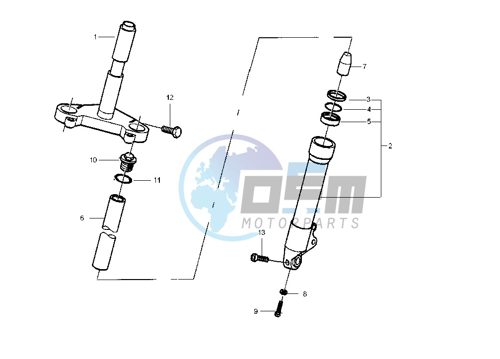 Fork MPV