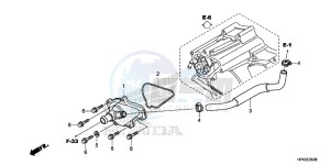 TRX420FMD TRX420 Europe Direct - (ED) drawing WATER PUMP COVER