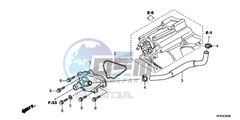 WATER PUMP COVER