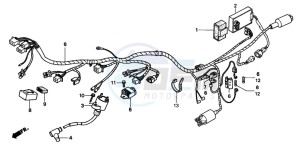 NSR50R drawing WIRE HARNESS/ IGNITION COIL