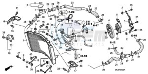 CBR600RRA France - (F / CMF 2F) drawing RADIATOR