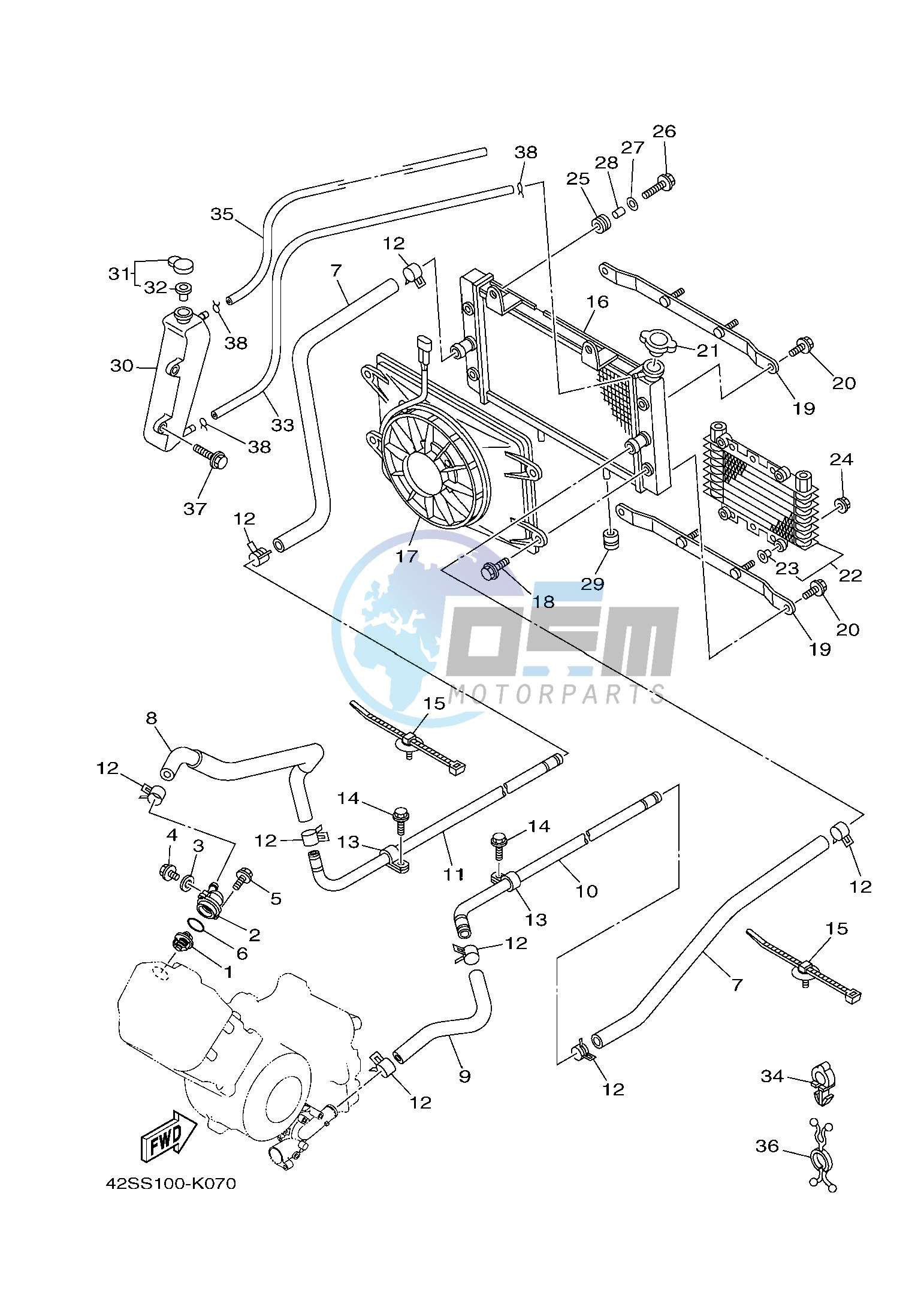 RADIATOR & HOSE