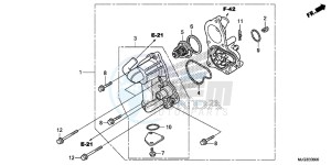 GL1800BG GOLDWING - F6B UK - (E) drawing WATER PUMP