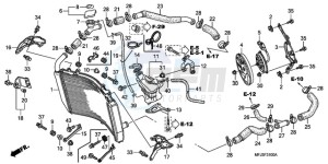 CBR600RR9 Europe Direct - (ED / SPC) drawing RADIATOR