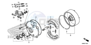 TRX250TME FOURTRAX RECON Europe Direct - (ED) drawing REAR BRAKE DRUM